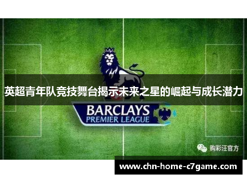 英超青年队竞技舞台揭示未来之星的崛起与成长潜力 英超青年队竞技舞台揭示未来之星的崛起与成长潜力